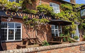 Cowpers Oak